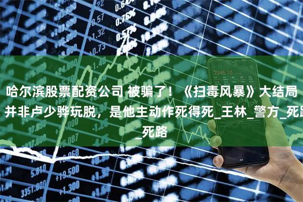 哈尔滨股票配资公司 被骗了！《扫毒风暴》大结局：并非卢少骅玩脱，是他主动作死得死_王林_警方_死路