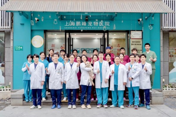 配资配资网 新瑞鹏旗下宠物医院血液净化技术革新：成功实施高难度血浆置换治疗，为爱宠带来新生