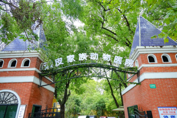 股票配资中心官网 微创技术领域再升级：新瑞鹏旗下宠物医院重建消化系统生理功能，让爱宠重焕生机