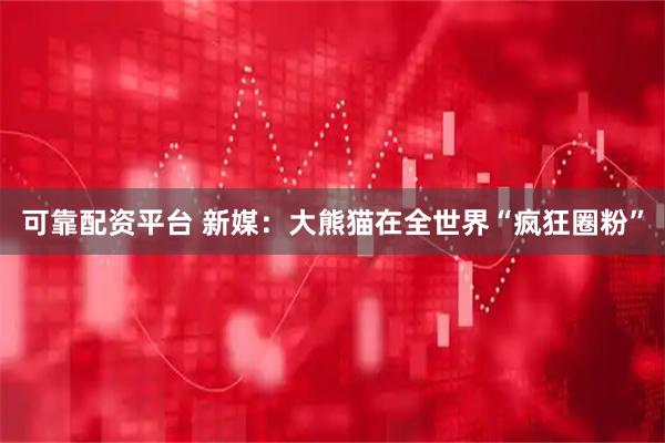 可靠配资平台 新媒：大熊猫在全世界“疯狂圈粉”