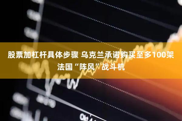 股票加杠杆具体步骤 乌克兰承诺购买至多100架法国“阵风”战斗机