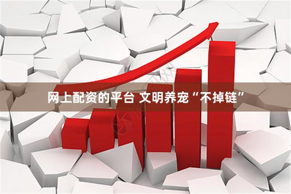 网上配资的平台 文明养宠“不掉链”