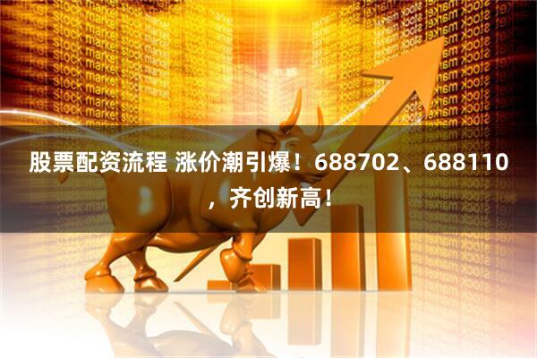 股票配资流程 涨价潮引爆！688702、688110，齐创新高！