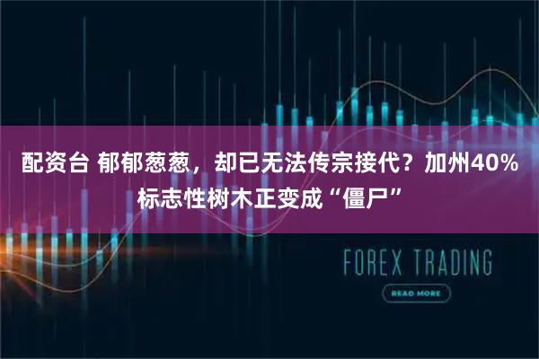 配资台 郁郁葱葱，却已无法传宗接代？加州40%标志性树木正变成“僵尸”